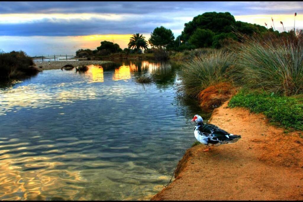 Appartamento 2 Linea De Mar Con Entrada Independiente Cubelles Esterno foto